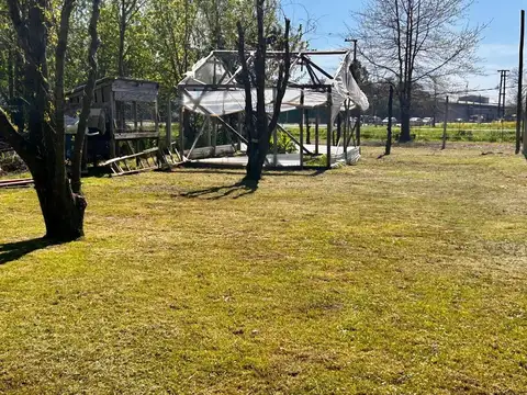 Calle 18- Bartola Benavidez de Beyer