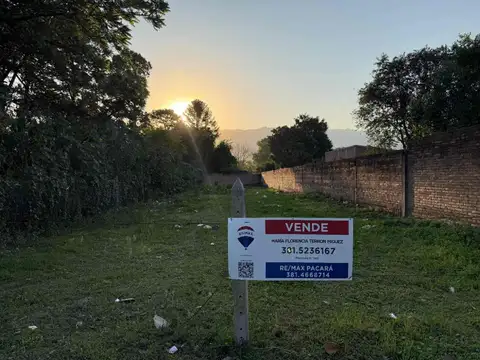 Yrigoyen 100