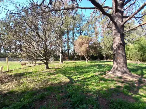 Terreno en Venta de 220,0 m2