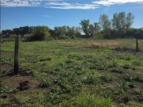 Terreno en Venta 10  mts Frente