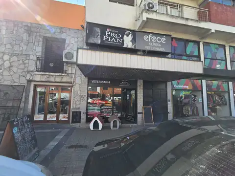 8 y 55