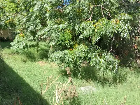 Casa en Alquiler de 2 dormitorios