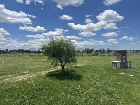 Terreno en Venta de 705,0 m2