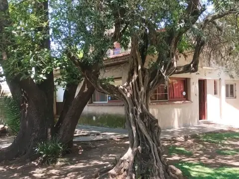 MAESTRA BALBINI 1300