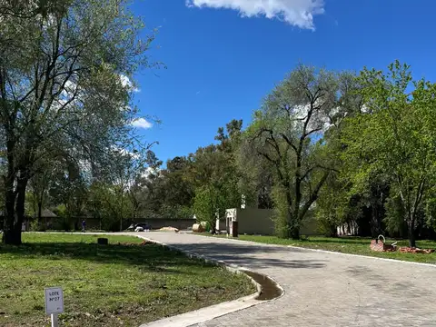 Terreno en Venta 32  mts Frente