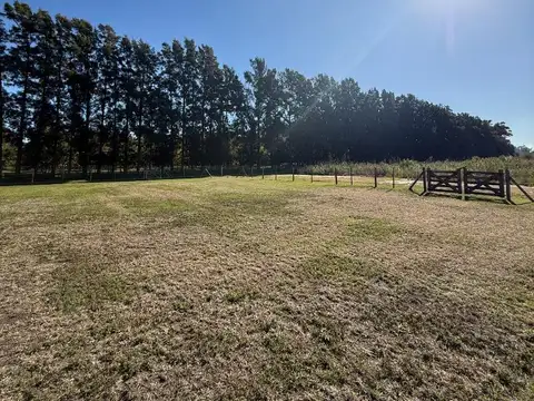 Terreno 800 m2 Diego Gaynor.