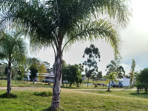 VENDO LOTES DE 2600M2 EN LOTEO SAN JUAN