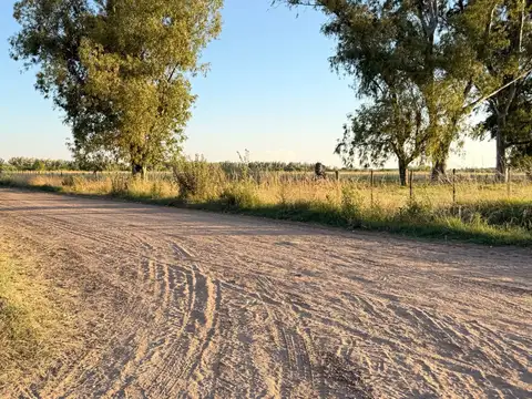 Terreno en Venta en Salvador Maria, USD 25.000