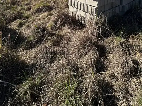 Terreno en Venta 12  mts Frente