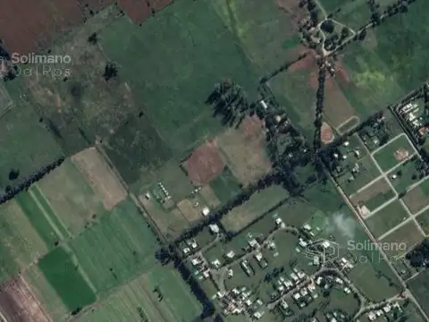 Profesor Egea al 1000