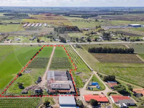 VENTA NAVE LOGÍSTICA SOBRE RUTA 5 CANELONES