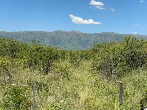 M LAGO S RO (1448) - BIALET MASSE - PUNILLA , Piso 0