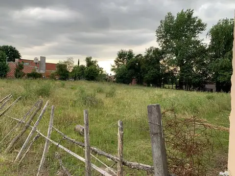 Excelente lote en barrio San Jacinto.