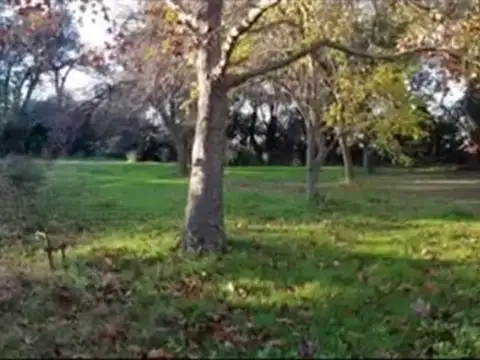 CASA 3 AMB VENTA FLORENCIO VARELA PILETA CAMPO