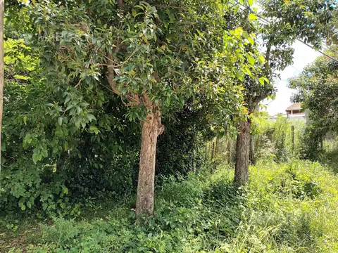 Terreno en Venta de 1733,0 m2