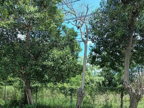 Terreno en Venta 34  mts Frente