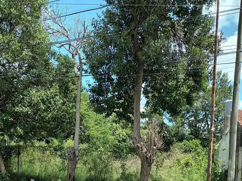 Terreno en Venta en Ingeniero Maschwitz, USD 450.000