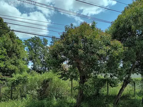 Terreno en Venta de 1732,0 m2