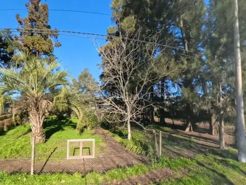 Maria Auxiliadora-uribelarrea