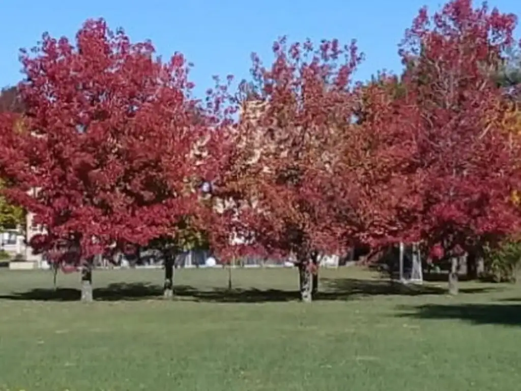 Terreno en Venta - Haras Del Sol