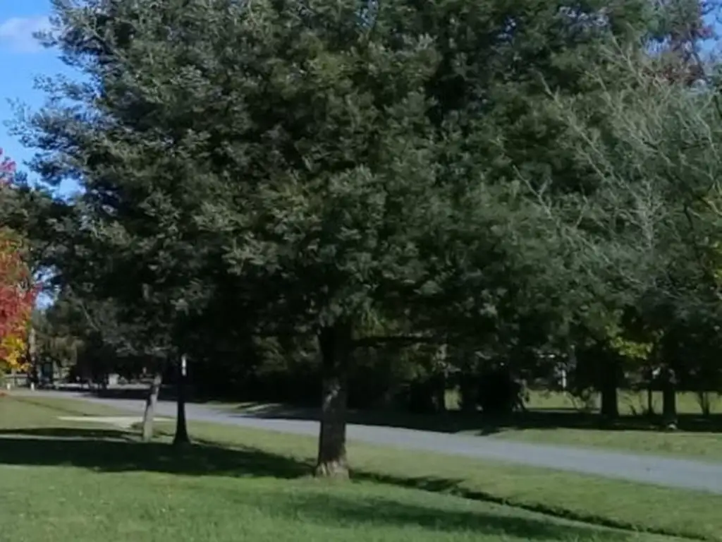 Terreno en Haras Del Sol