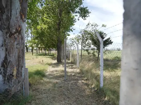 Fincas Don Eugenio II