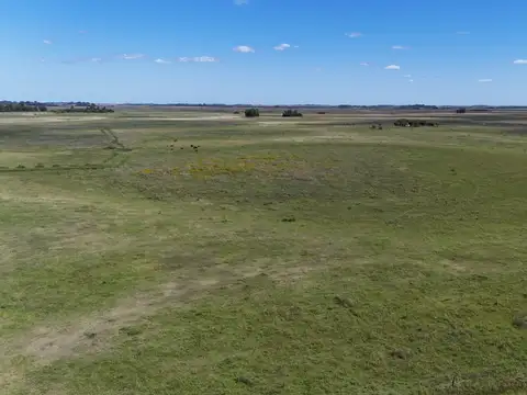 CHACRA EN VENTA     96 HECTAREAS        GRAL JUAN MADARIAGA 