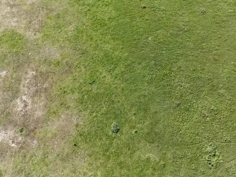 Campo en Venta con Alambrado