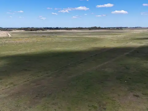 Campo en Venta con Alambrado