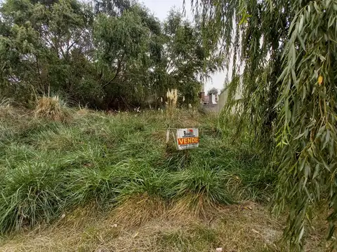 Terreno en Venta de 292,0 m2