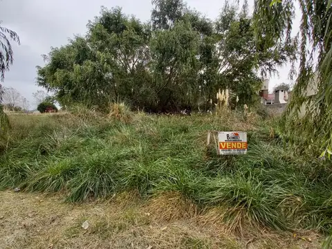 Terreno en Venta 22,52  mts Fondo