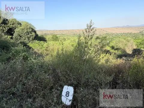 Terreno en Venta en Los Zarzos De San Lorenzo, USD 82.800