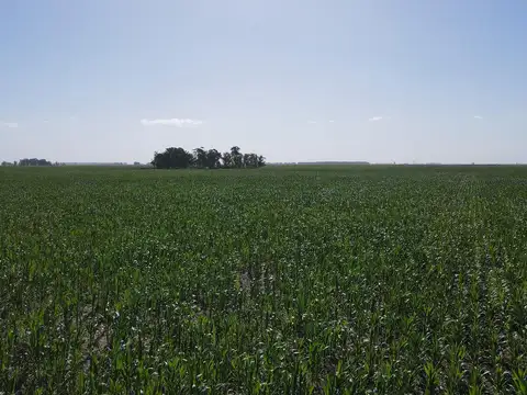 Mar Chiquita - 207 has.