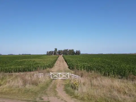 Mar Chiquita - 207 has.