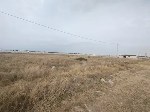 Terreno en Venta en Domselaar, $ 8.000.000