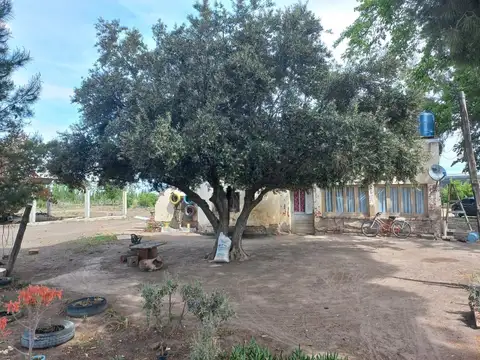 Calle C, General Alvear, Mendoza