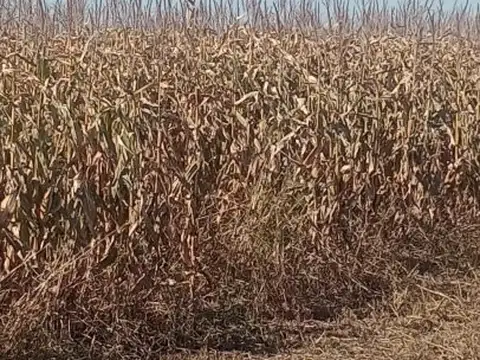 Ruta 7 , Piso No definido