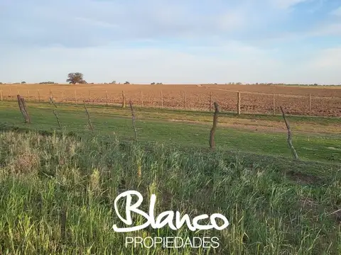 Campo Santa Rosa - La Pampa -
