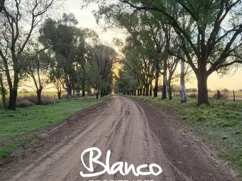 Campo Santa Rosa - La Pampa -