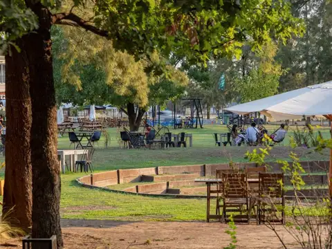 Local en Alquiler A Estrenar