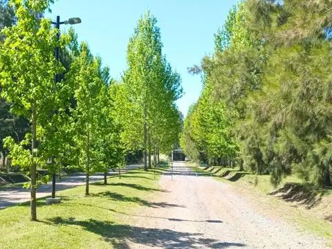 TERRENO DE MIL METROS EN VENTA EN EL RETIRO - Foto 0