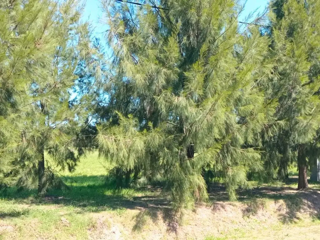 TERRENO DE MIL METROS EN VENTA EN EL RETIRO - Foto 16