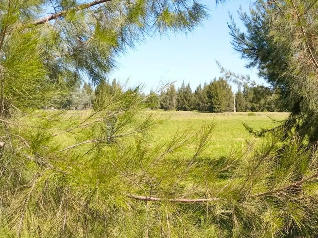 TERRENO DE MIL METROS EN VENTA EN EL RETIRO - Foto 13