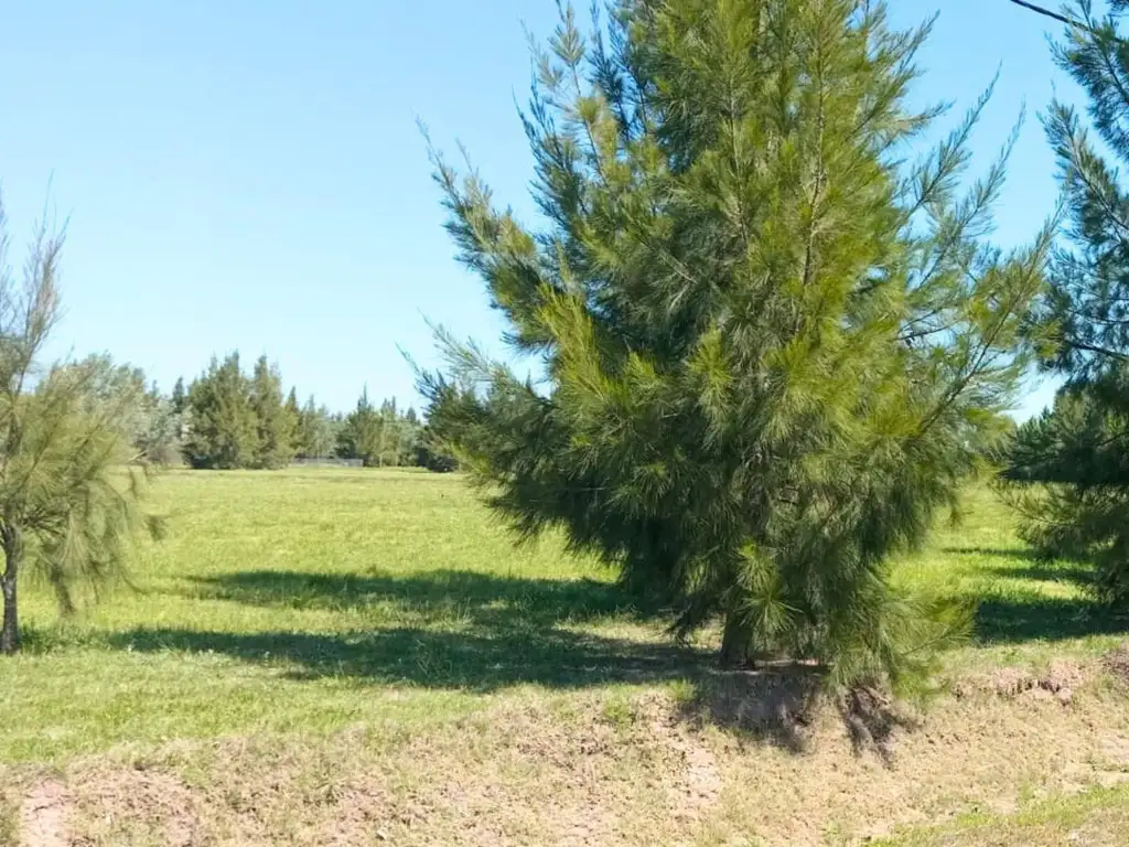 TERRENO DE MIL METROS EN VENTA EN EL RETIRO - Foto 18