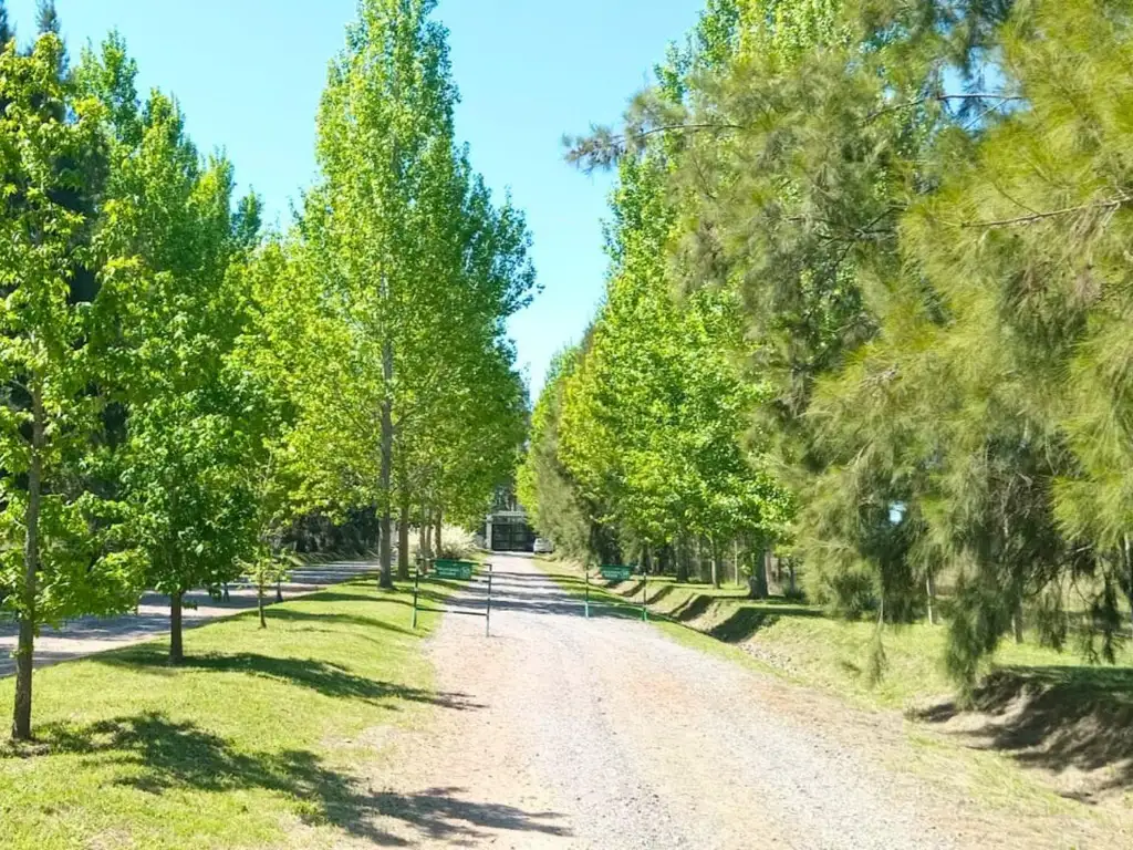 Ruta Nacional 2 Kilometro 76