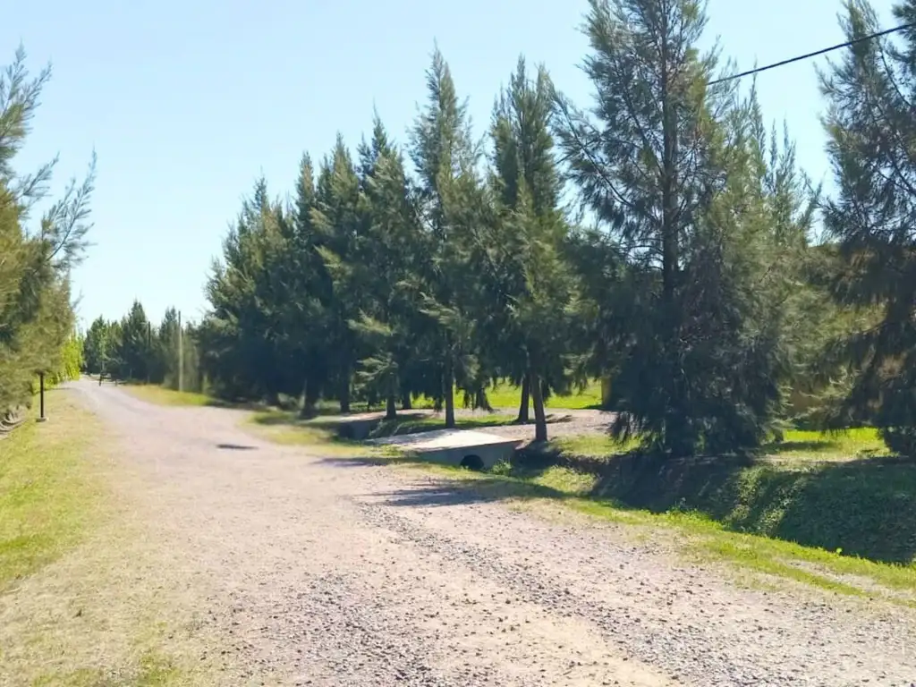 TERRENO DE MIL METROS EN VENTA EN EL RETIRO - Foto 15