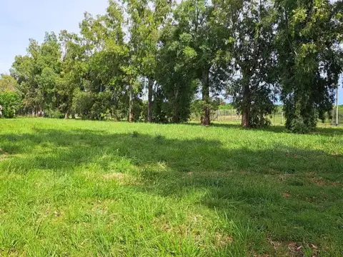 Los Castaños