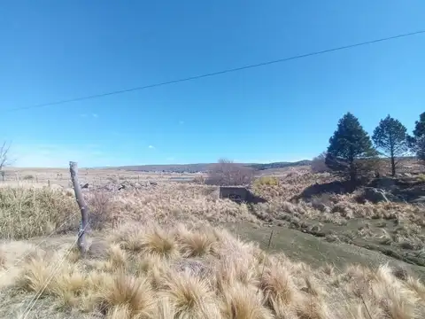 Ruta Provincial 9