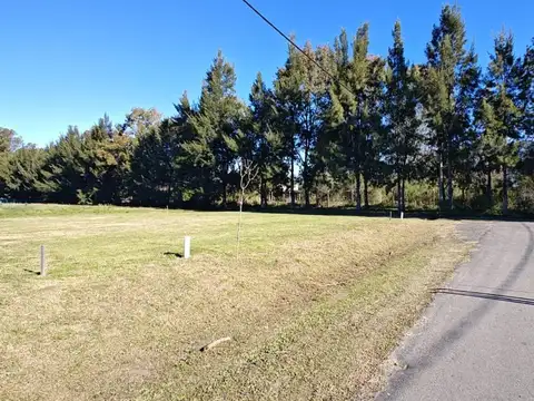 2 terrenos en venta en barrio cardales chico, de 736 m². con posesión y escriturable. sin expensas.