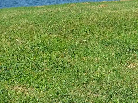 Terreno Lote  en Venta espejo de agua San Sebastian.
